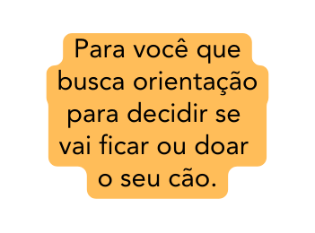 Para você que busca orientação para decidir se vai ficar ou doar o seu cão